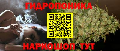 спайс Кандалакша