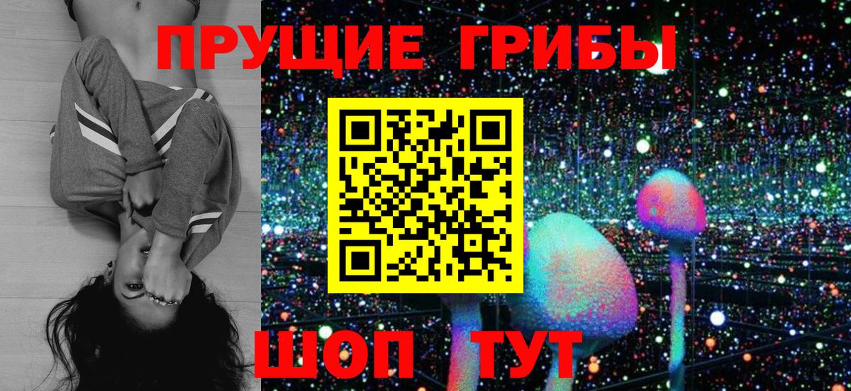 Каменск-Уральский  Псилоцибиновые грибы мицелий  Вход с VPN  Галлюциногенные грибы Magic Shrooms 